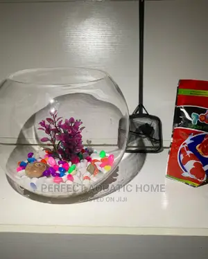 Fish Bowl Kit