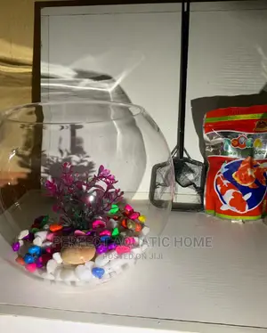 Fish Bowl Kit (10liters)