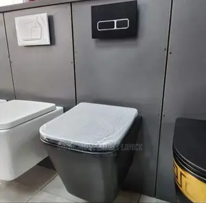 Black Square Wall Hung Wc