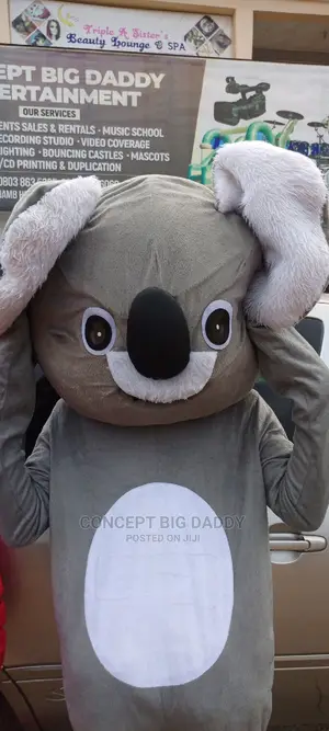 Bird and Koala Mascots