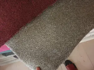Normal Rupi Wall To Wall Rug