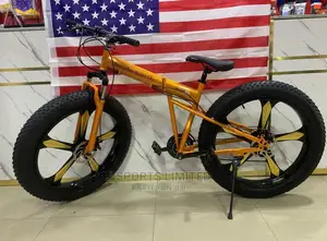 Flat Tire Bike
