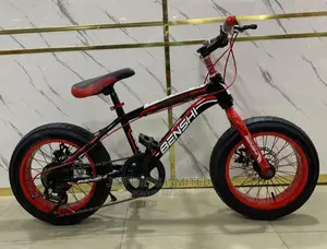 Normal Tire Bike