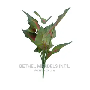 Bulk Sales of Unpotted Plants for Interior Decorations