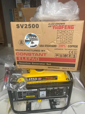 Elepaq Constant Manual Start 100% Generator