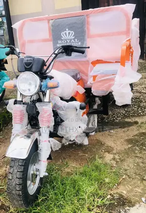 New Tricycle 2022 Orange