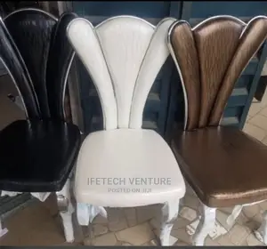 Designed Dinning Chair