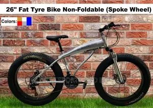 Fat Tyre Bicycle