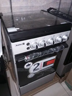 Scanfrost Standing Cooker 4 Bone
