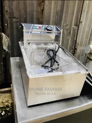 Electric Deep Fryer Single Basket 4l