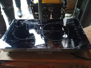 Double Induction Cooker