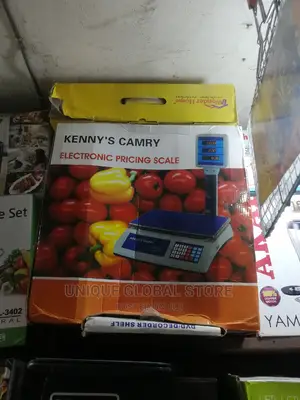 Camry Electronic Digital Platform Scale 50kg