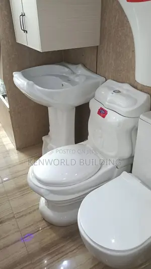 Modern Day Luxury Day Water Closet