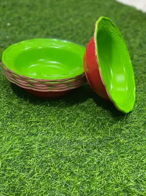 6 Pieces Classic Unbreakable Plates