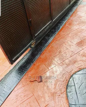 Dopey Stamp Concrete