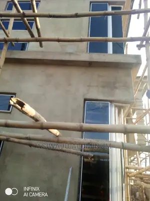 Aluminum Transom Frameless Windows Installation 
