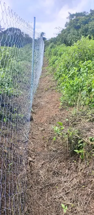 Cheap Way of Fencing Farm Land