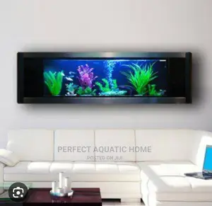 Wall Aquarium