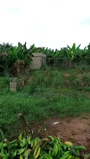 3 Acres Property in Obazogbe, Edo State for Sale