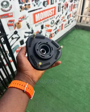 Lexus Rx350 Shock Absorber Pad