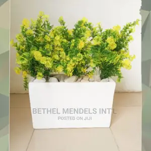 Combo of Trough Fiberglass Flower Pot With Vine Flowers|Sale