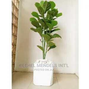 Square Fiberglass Pot Potted With Fake 120cm Fiddle | Sales