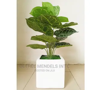 Fake Mini Taro Plant Potted in Small Square Fiberglass Vase