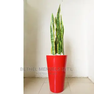 Sale| Cone Fiberglass Pot Potted With 80cm Fake Snake Plants