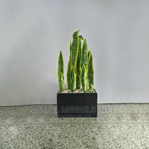 Combo Sales | Fake Snake Plant and Trough Fiberglass Vases