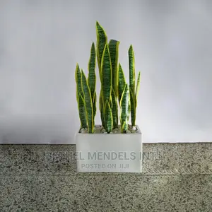 Combo Sales | Fake Snake Plant and Trough Fiberglass Vases