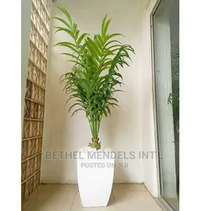 Fake 150cm Kentia Palm Potted in Belly Fiberglass Flower Pot