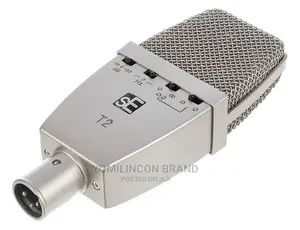 Se Electronics T2 Condenser Microphone