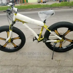Standard Adult Alloyed Fat Tyre Bicycle