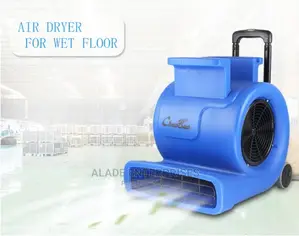 Professional 900w 3speed Floor Air Dryer With High Quality