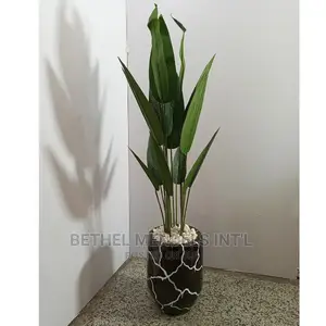 Wholesales of Fiberglass Flower Pots/Plants in Lagos