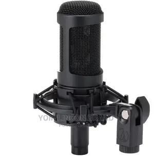 Audio-Technica AT2050 Multi-Pattern Condenser Microphone