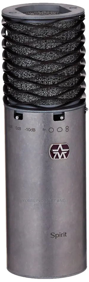 Aston Microphones Spirit Large Diaphragm Multi-Pattern