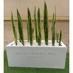 100cm Trough Fiberglass Flower Pots/Vase for Wholesales