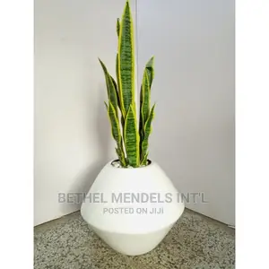 Onion Fiberglass Flower Pots For Sale At Affordable Prices.