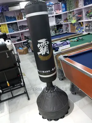 Exclusive Punching Bag