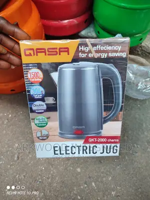 Qasa Electric Mug/Kettle