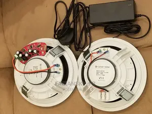 Origina Bluetooth Ceiling Speakers 2in1 20watt