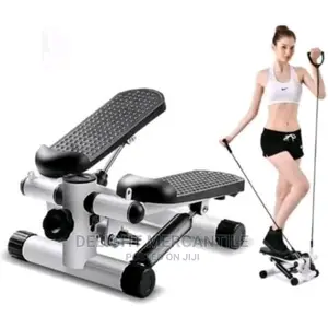 Mini Stepper Stepping Fitness Exercise Machine