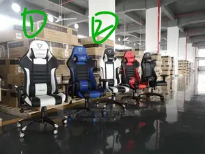 Ergonomic Gaming Chair