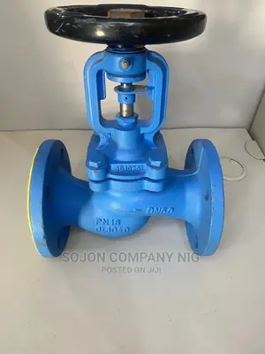 Econosto Steam Globe Valve