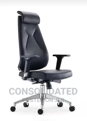 Unique Executive Office Chair