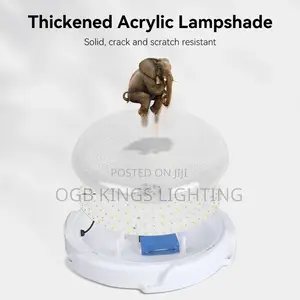Solar Ceiling Light