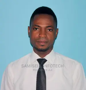 Software Developer