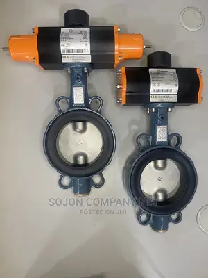 EBRO Butterfly Valve With Actuator