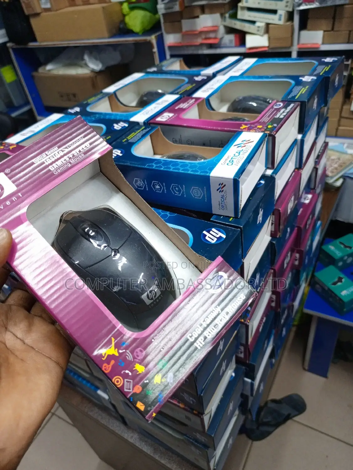 Laptop/Desktop Mouse